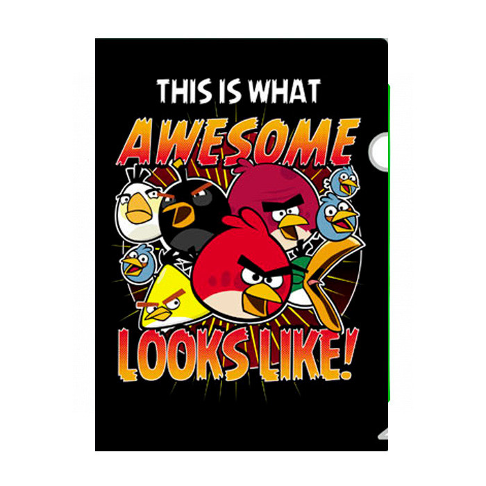 Папка-Уголок пластиковая Hatber Angry Birds А4 / AG4_10908