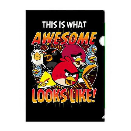 Папка-Уголок пластиковая Hatber Angry Birds А4 / AG4_10908, фото 2