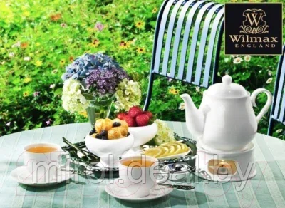 Заварочный чайник Wilmax WL-994019/1С - фото 4 - id-p215014576