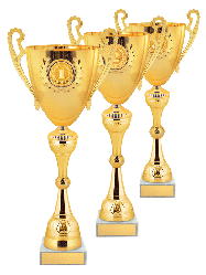 Комплект кубков 2873