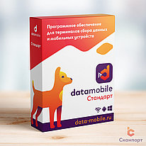 DataMobile Стандарт