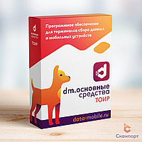 DM.Основные средства: DM.ТОИР