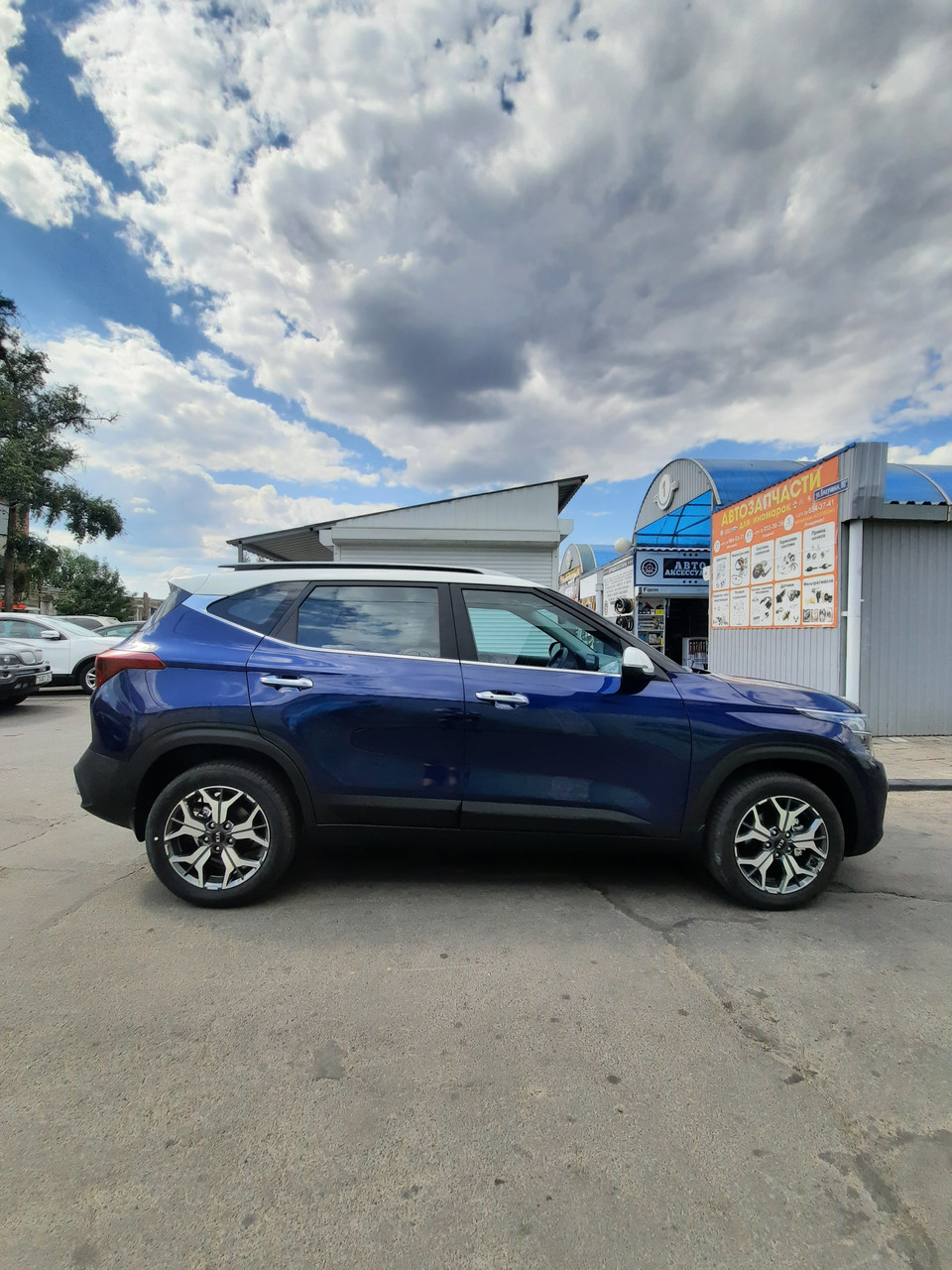 Каркасные автошторы Kia Sportage 4 - фото 10 - id-p215032947