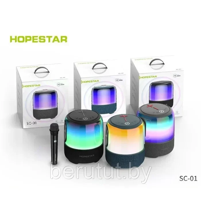 Колонка портативная музыкальная Bluetooth HOPESTAR SC-01 с микрофоном - фото 10 - id-p215035628