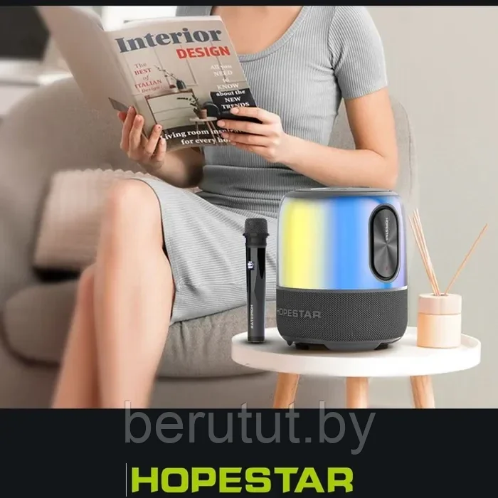 Колонка портативная музыкальная Bluetooth HOPESTAR SC-01 с микрофоном - фото 6 - id-p215035628