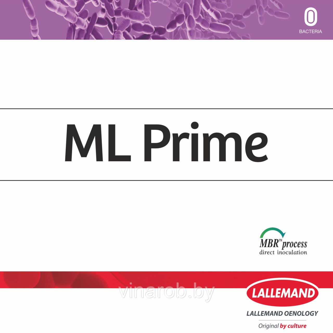 Бактерии ML Prime для ЯМБ (1 гр)