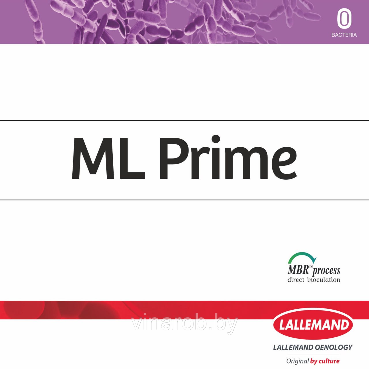Бактерии ML Prime для ЯМБ (1 гр) - фото 1 - id-p215032641