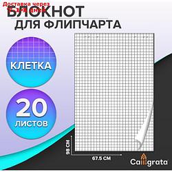 Блокнот д/флипчарта 20л 67,5*98см клетка, 92%, 80г/м2, Calligrata