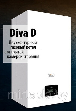 Ferroli Diva DC24 Настенный газовый котел - фото 3 - id-p215070587