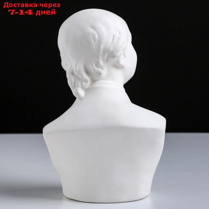 Гипсовая фигура известные люди: бюст Ломоносова, 14.5 х 11 х 21.5 см - фото 5 - id-p215043637