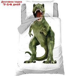 Постельное белье "Этель" 1,5 сп Green Dino 143х215 см, 150х214 см, 50х70 см -1 шт