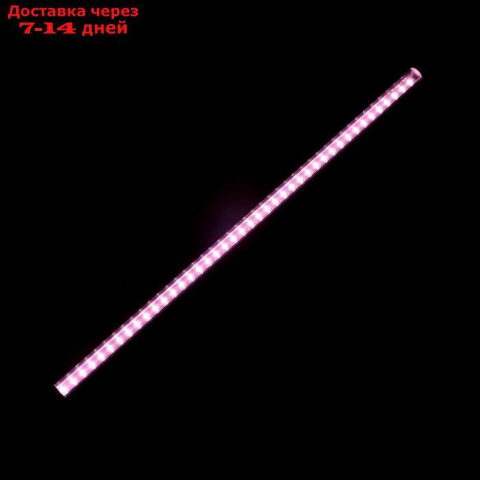 Фитосветильник светодиодный Luazon, 10 Вт, 600 мм, IP40, 220 В, полноспектральный - фото 2 - id-p215042782