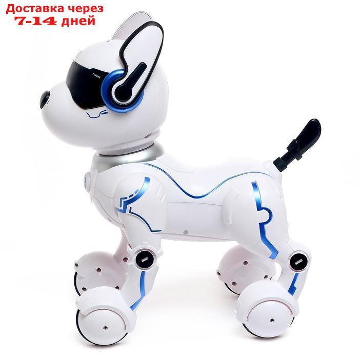 Робот - собака, радиоуправляемый "Фьючер", русское озвучивание, работает от аккумулятора - фото 2 - id-p215041799