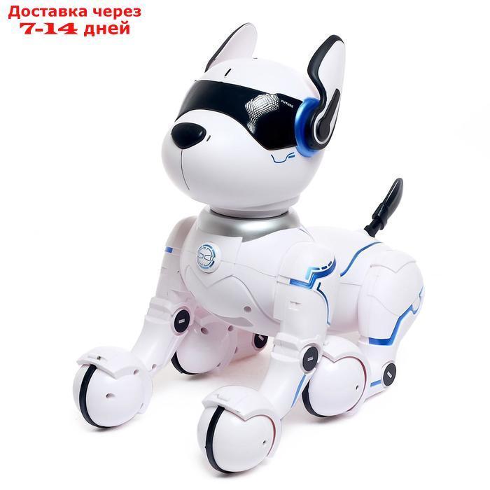 Робот - собака, радиоуправляемый "Фьючер", русское озвучивание, работает от аккумулятора - фото 4 - id-p215041799