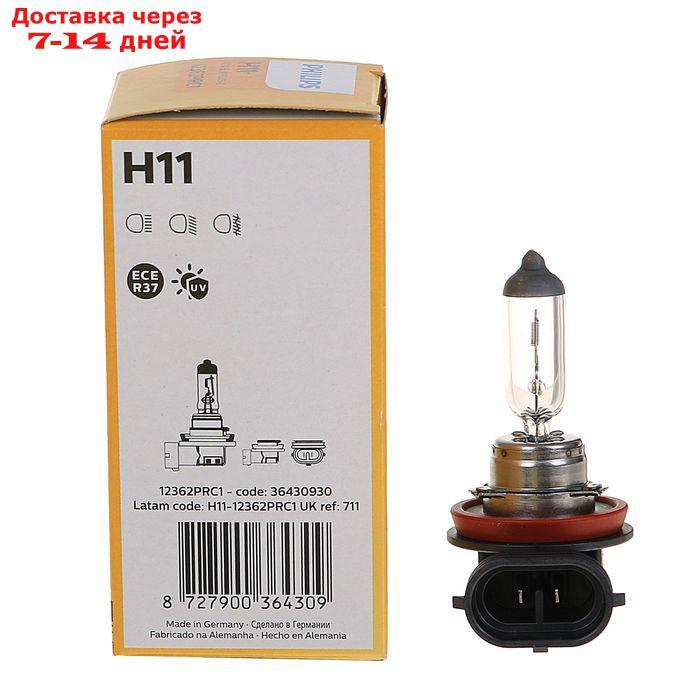 Лампа автомобильная Philips, Vision, H11, 12 В, 55 Вт, PGJ19-2 - фото 3 - id-p215043854