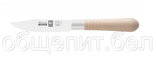 Нож для овощей 100/210 мм. Artesa Icel /1/ - фото 1 - id-p215077163