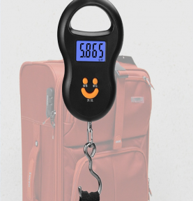 Портативные электронные весы (Безмен) Portable Electronic Scale до 50 кг / Карманные весы - фото 1 - id-p215081365
