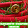 Шланг - чудо для полива саморасширяемый с пульверизатором Magic Garden Hose 50 FT (5m - 25m), 25м, КРАСНЫЙ /, фото 4