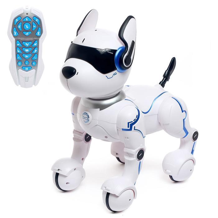 Робот - собака, радиоуправляемый «Фьючер», русское озвучивание, работает от аккумулятора - фото 1 - id-p215141009