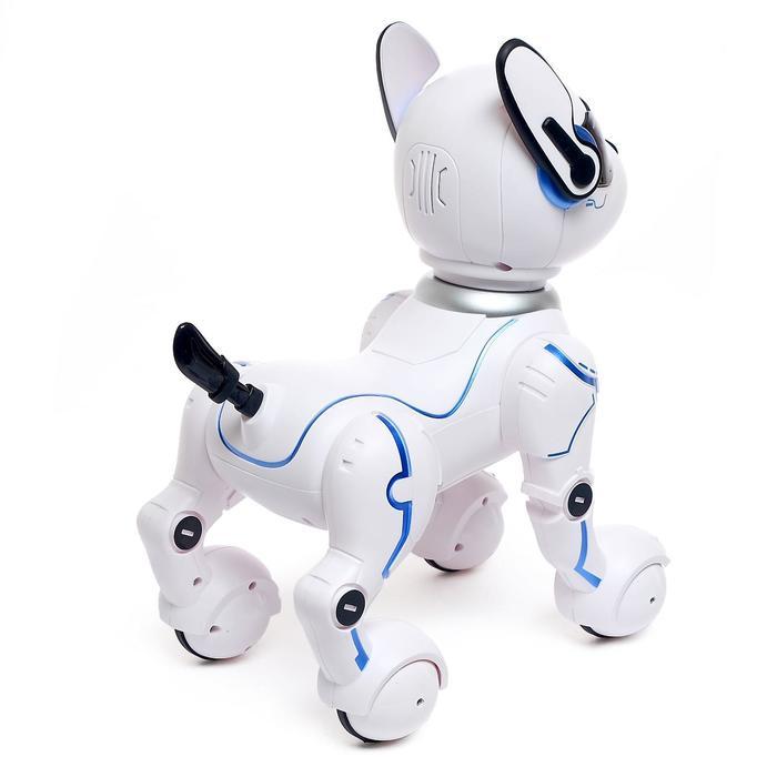 Робот - собака, радиоуправляемый «Фьючер», русское озвучивание, работает от аккумулятора - фото 3 - id-p215141009