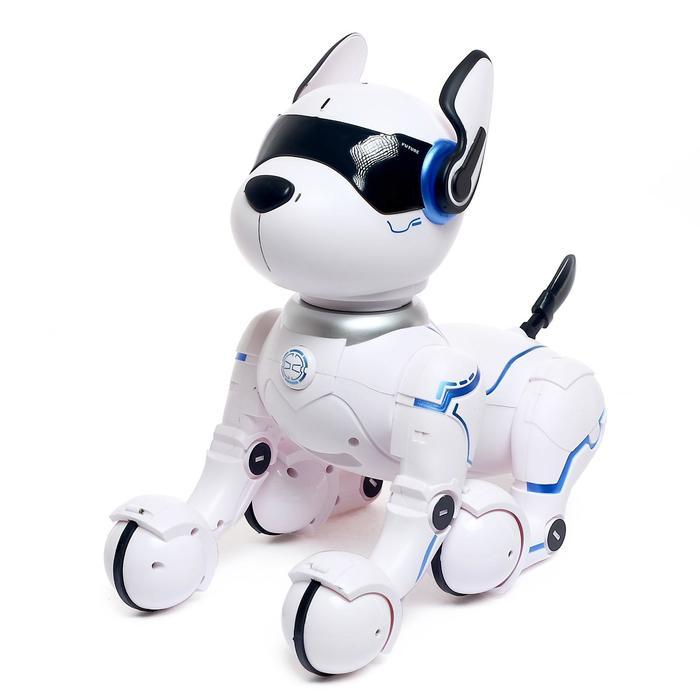Робот - собака, радиоуправляемый «Фьючер», русское озвучивание, работает от аккумулятора - фото 4 - id-p215141009