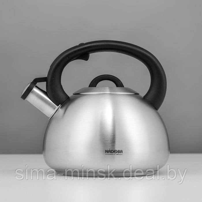 Чайник со свистком Nadoba Virga, 3.8 л - фото 1 - id-p215141257