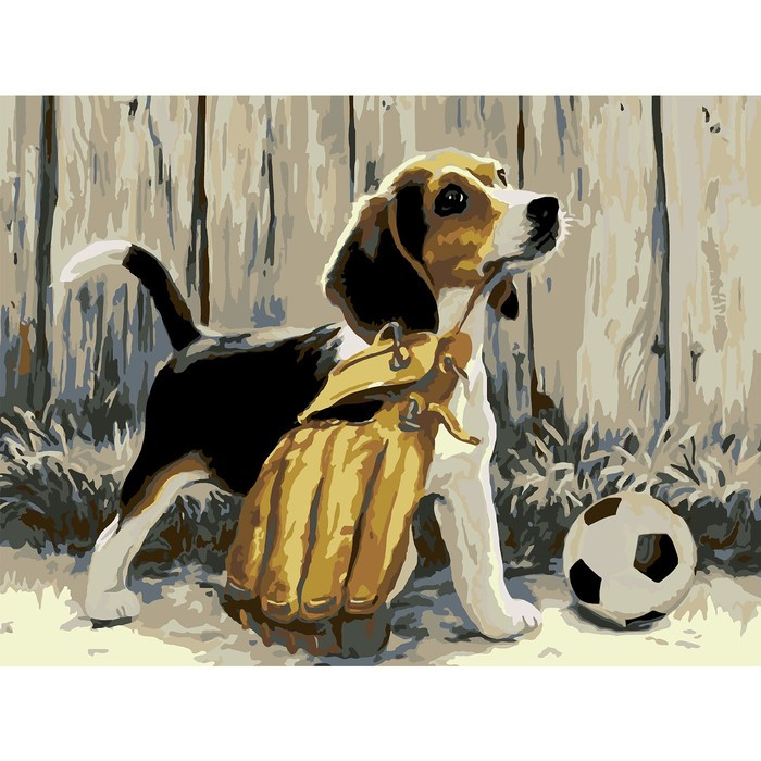 Картина по номерам на холсте «Щенок с мячом», 40х30 см - фото 1 - id-p215141527