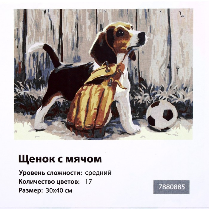 Картина по номерам на холсте «Щенок с мячом», 40х30 см - фото 6 - id-p215141527