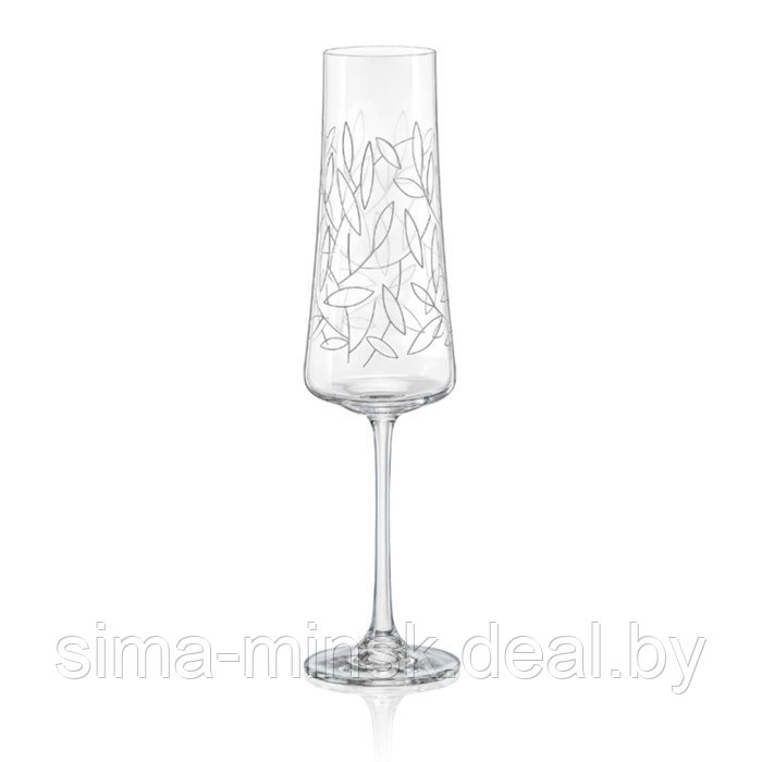 Набор бокалов для шампанского "Экстра", декор листья, 210 мл, 6 шт - фото 1 - id-p215141856