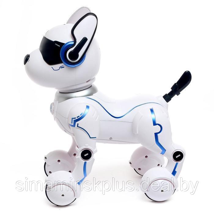 Робот - собака, радиоуправляемый «Фьючер», русское озвучивание, работает от аккумулятора - фото 2 - id-p215143450