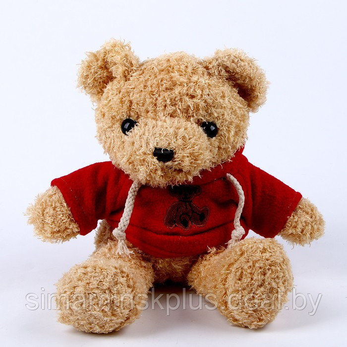 Мягкая игрушка «Медведь» в кофте, 30 см, цвет красный - фото 1 - id-p215143554