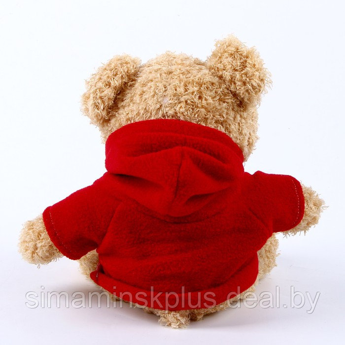 Мягкая игрушка «Медведь» в кофте, 30 см, цвет красный - фото 3 - id-p215143554