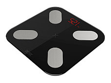 Умные диагностические весы Picooc Mini Black V2 (6924917717391), черный, фото 2