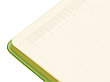 Блокнот Notepeno 130x205 мм с тонированными линованными страницами, зеленое яблоко, фото 3