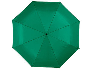 Зонт Alex трехсекционный автоматический 21,5, зеленый, фото 2