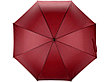 Зонт-трость Радуга, бордовый, фото 4