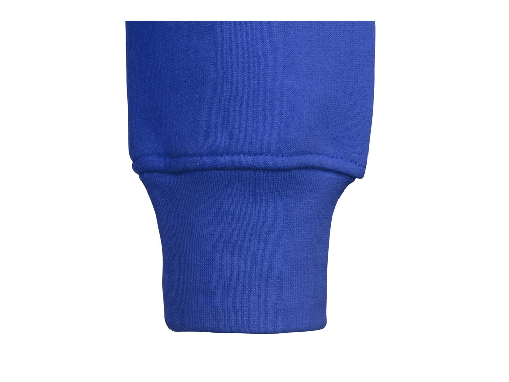Толстовка с капюшоном Amsterdam мужская, синий классический - фото 4 - id-p215147272