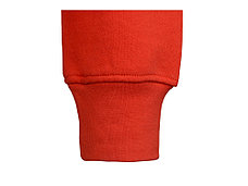 Толстовка с капюшоном Amsterdam мужская, красный, фото 2