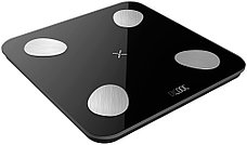 Умные диагностические весы Picooc Mini Lite Black (6924917717469), черный, фото 2