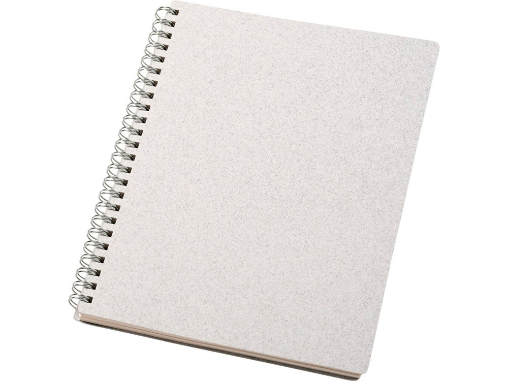 Блокнот Bianco формата A5 на гребне, белый - фото 1 - id-p215149335