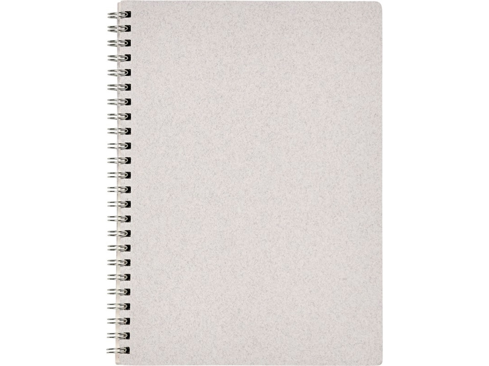 Блокнот Bianco формата A5 на гребне, белый - фото 2 - id-p215149335