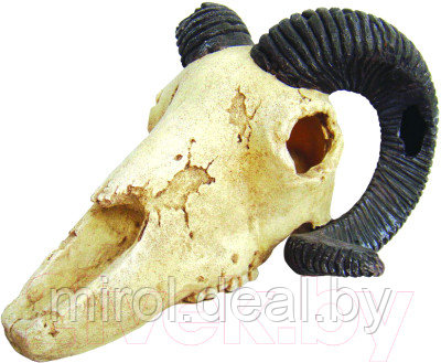 Декорация для террариума Lucky Reptile Skull Ram череп / DS-R - фото 1 - id-p215160902