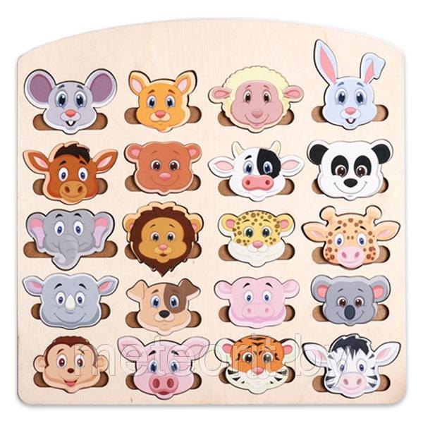 Веселые мордочки - сортер большой Ань-Янь