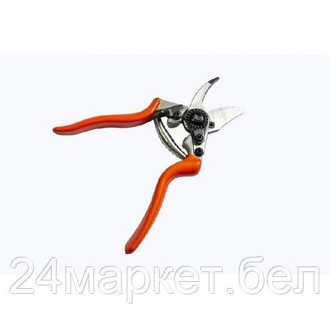 WMC TOOLS Секатор садовый кованный с боковой фиксацией(L-200мм) WMC TOOLS TG1301052, фото 2