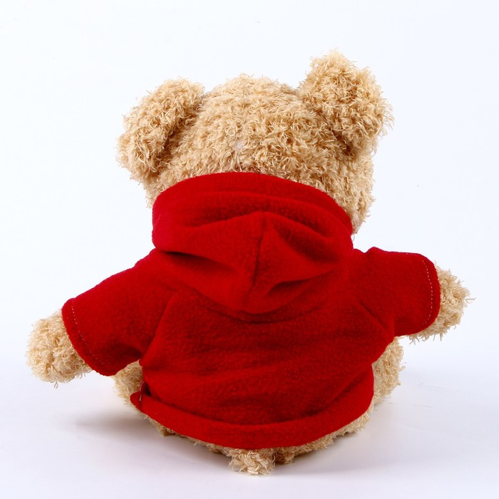 Мягкая игрушка «Медведь» в кофте, 30 см, цвет красный - фото 3 - id-p215189271