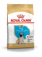 Сухой корм для щенков Royal Canin Pug Puppy 1.5 кг