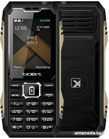 Мобильный телефон TeXet TM-D428 (черный) - фото 1 - id-p215251221