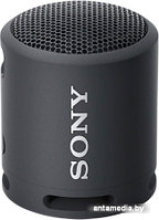 Беспроводная колонка Sony SRS-XB13 (черный)