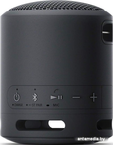 Беспроводная колонка Sony SRS-XB13 (черный) - фото 3 - id-p215251224