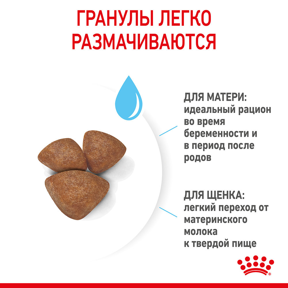 Royal Canin Starter mini, 3 кг - фото 4 - id-p215251798